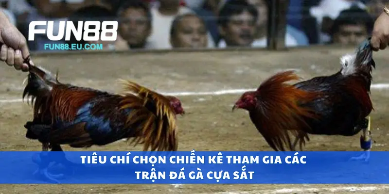 Tiêu chí chọn chiến kê tham gia các trận đá gà cựa sắt